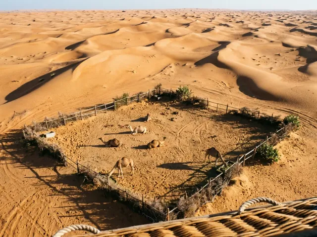 Aerial view of dune shadows and a camel train from a balloon