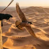 Edited Flight Video
